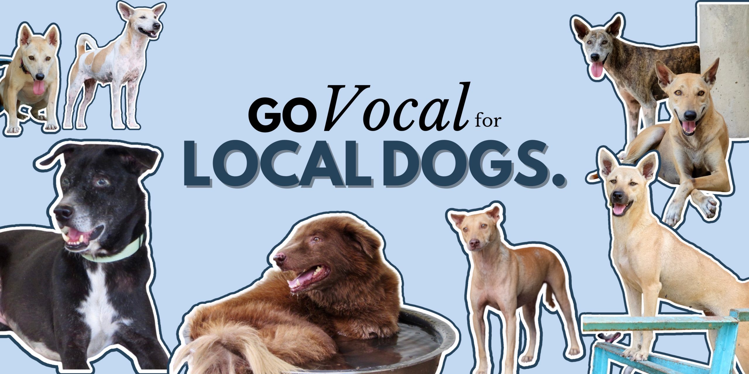 Go Vocal For Local Dogs